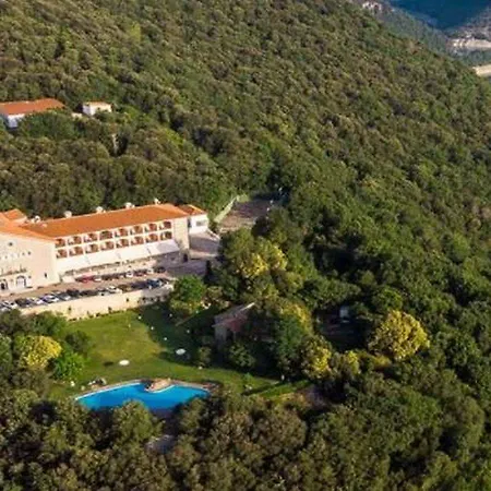 Hotel De Vic-sau 4*