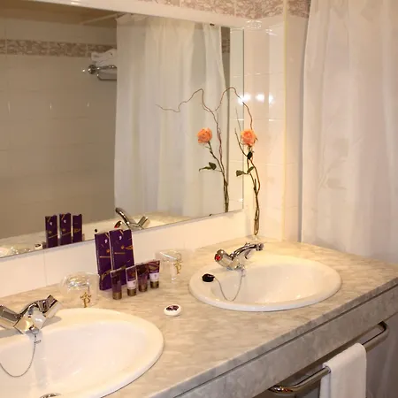 Hotel De Vic-sau 4*