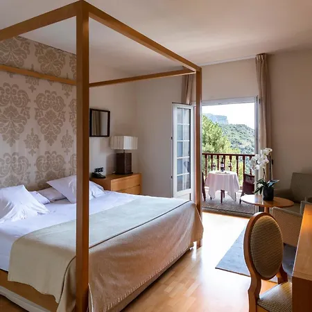 Hotel De Vic-sau 4*
